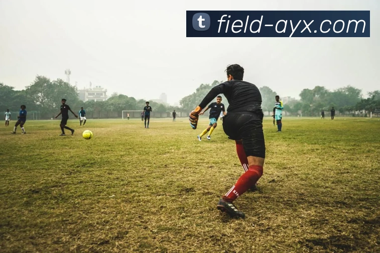 App Interface Preview