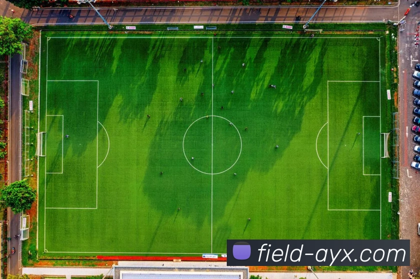 爱游戏APP 封面图