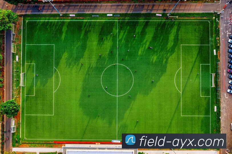 数据防护可视化